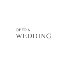 intro_wedding_text